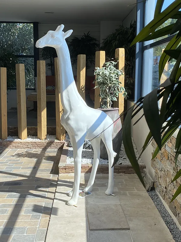 GIRAFES AGENCE AVIGNON (2)