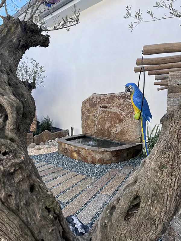 PATIO ALBI FONTAINE GRANDE DALLE ET OPUS GNEISS DU CAROUX EN PLACAGE (2)
