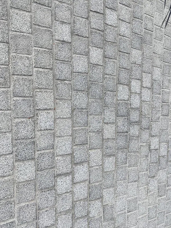 PAVES GRANIT GRIS BOUCHARDE (2)