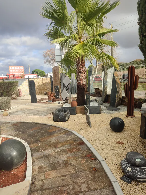 agence montpellier (3)