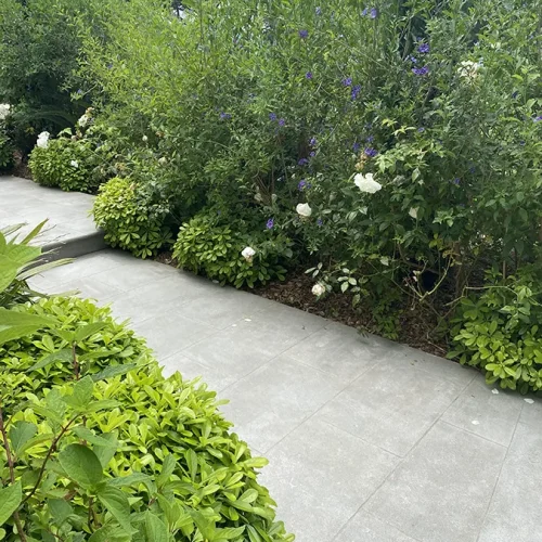 Calcaire du Causse - Grenaillé (6)