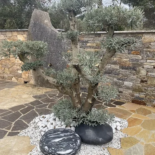 GALETS GEANT EBONY ET ZEBRA