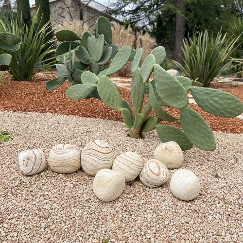 GALETS RAINBOW 30-40