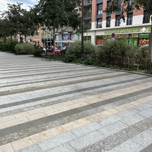 MONTAUBAN PLACE ROOSEVELT GNEIS DU CAROUX GRENAILLé