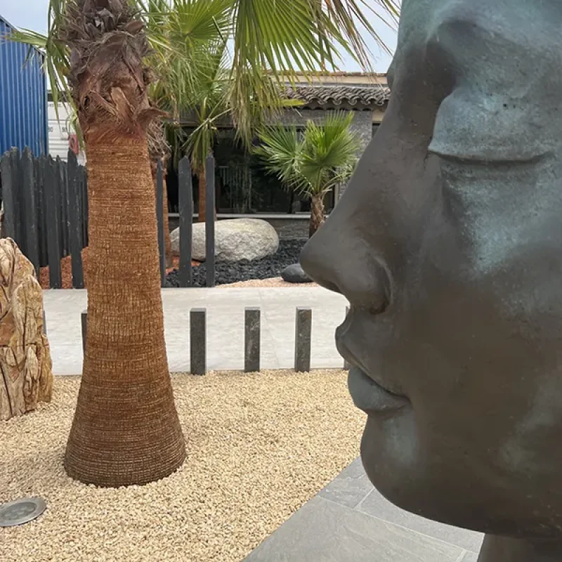 VISAGE FEMME BRONZE Haut 115 cm (180kg) (6)